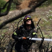 Fires