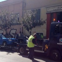 ΓΕΡΑΝΟΣ ΚΕΝΤΡΙΚΗ ΔΗΜΗΤΡΙΑΔΟΣ