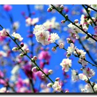 lr_00_f00672