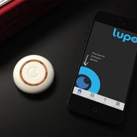 lupo