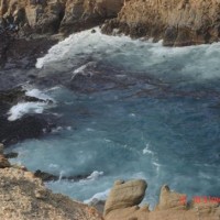 sea diamond