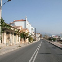 ΠΑΡΑΛΙΑΚΗ ΑΓΡΙΑΣ