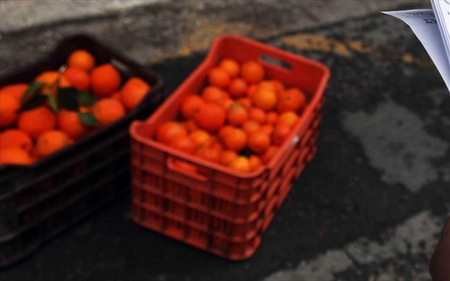 Δέσμευση 12,4 τόνων κηπευτικών