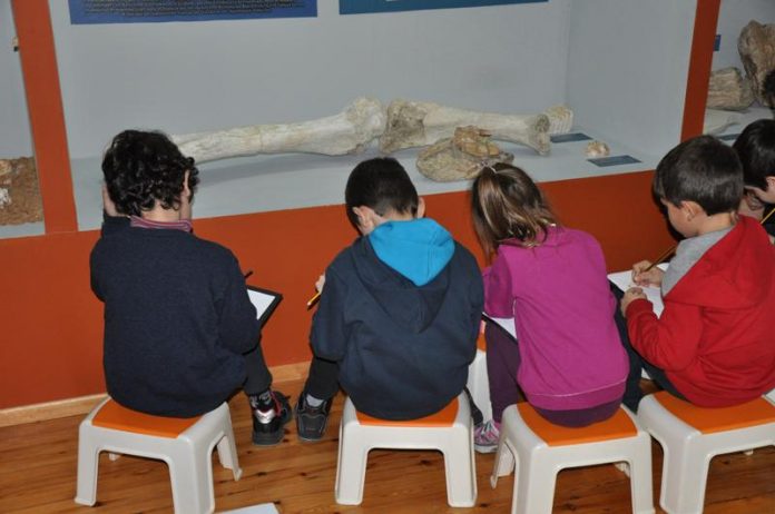 Palaeontology 1