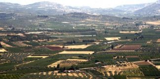 Δόμηση τέλος σε εκτός σχεδίου οικόπεδα μικρότερα των 4 στρεμμάτων