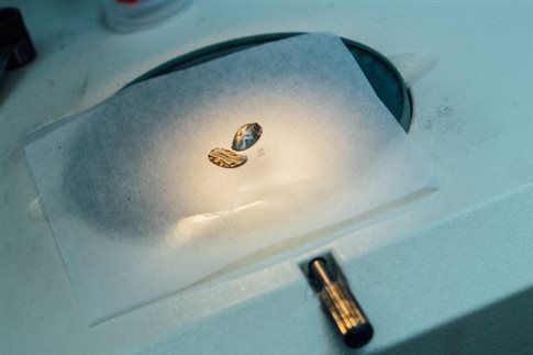 neo-krama-pio-isxuro-apo-titanio