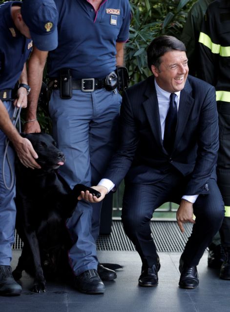 Italian PM Renzi meets the rescue dog "Leo", that saved eight-year-old-girl Georgia after the earthquake in Pescara del Tronto in central Italy, during a regular Italo-German summit in Ferrari's hometown Maranello