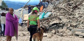 Ελληνική πρεσβεία στη Ρώμη: Δεν υπάρχουν Έλληνες μεταξύ των θυμάτων