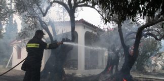 Ν. Τόσκας: Λίγο καλύτεροι οι οιωνοί για την κατάσβεση της πυρκαγιάς στην βόρεια Εύβοια