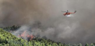 ΚΚΕ: Τεράστιο έγκλημα σε βάρος του λαού η πυρκαγιά στη βόρεια Εύβοια