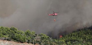 Συνεχής μάχη με τις φλόγες στη Βόρεια Εύβοια