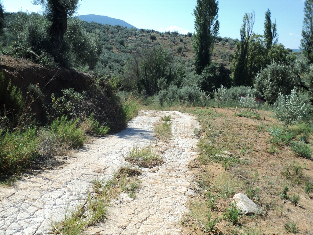 ΑΓΡΟΤΙΚΟΣ ΔΡΟΜΟΣ3