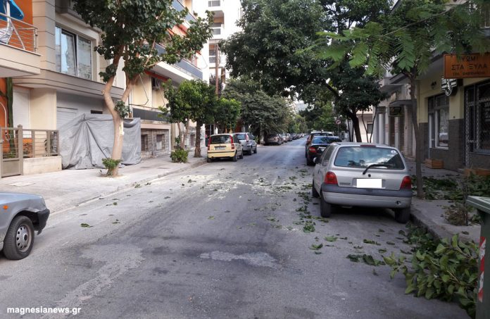 ΔΕΝΤΡΟ ΑΥΤΟΚΙΝΗΤΟ2
