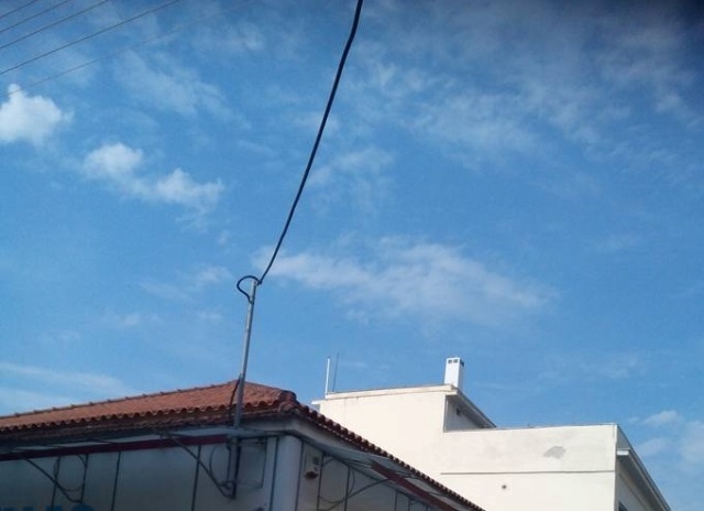 αγρια