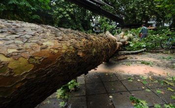 720 κλήσεις έχει δεχθεί η Πυροσβεστική για πτώσεις δέντρων και απεγκλωβισμούς