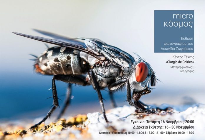 micro-kosmos-leonidas