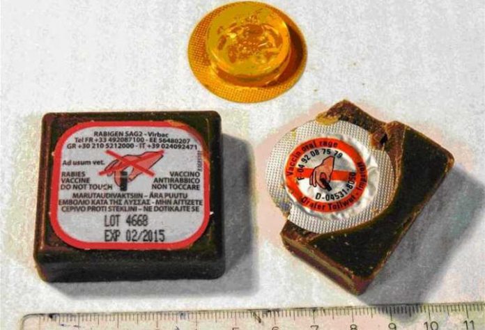 ΕΜΒΟΛΙΑ ΛΥΣΣΑ