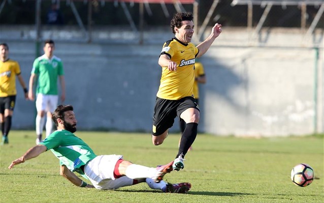agrotikos-asteras-aris