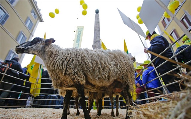 italia-ktinotrofoi-romi