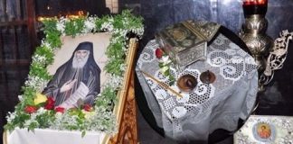 Tι απαντά ο Ναός Αγ.Δημητρίου για το κάστανο του οσίου Παϊσίου