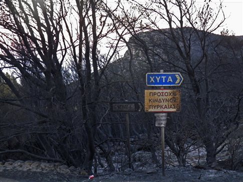 fotia kithira
