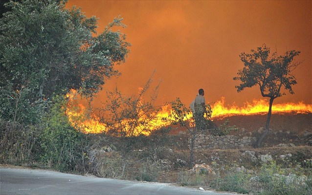 zakunthos-fotia-purkagia