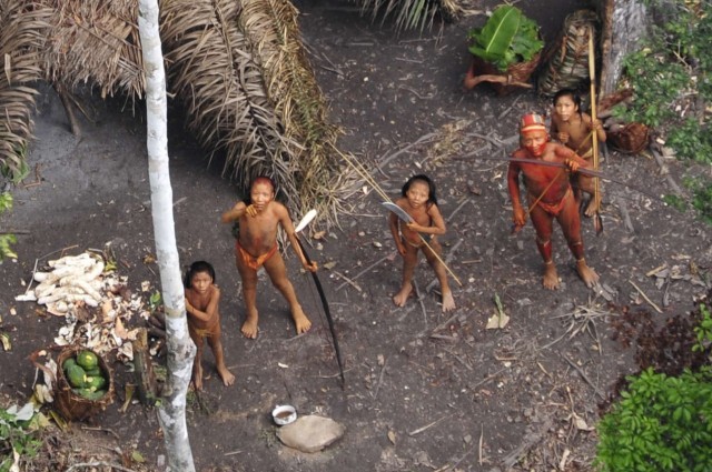 amazonios-fuli