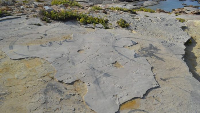 apolithomata