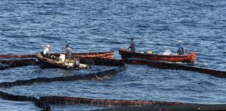 «Πετρελαιοφάγα» βακτήρια μπορούν να καθαρίσουν φυσικά τον Σαρωνικό