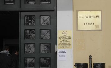 Τι είπε στην κατάθεσή της για τις πυρκαγιές η περιφερειακή σύμβουλος Ι. Τσούπρα