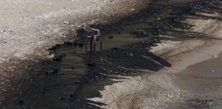 Μώραλης: Ασχημη και δύσκολη η κατάσταση με την πετρελαιοκηλίδα