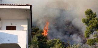 Κάηκαν σπίτια, ελιές και πεύκα στη Χαλκιδική, ολονύχτια η μάχη με τις φλόγες