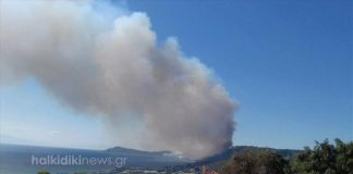 Χαλκιδική: Εκκένωση σπιτιών λόγω της πυρκαγιάς στη Μόλα Καλύβα