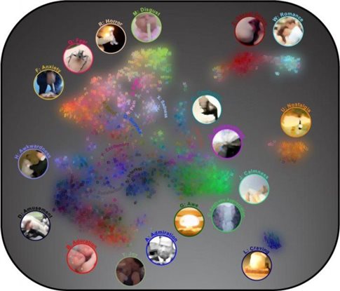 συναισθηματα