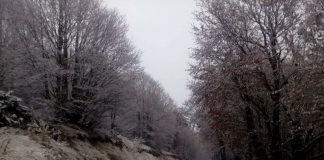 Έπεσαν τα πρώτα χιόνια στην βόρεια Ελλάδα