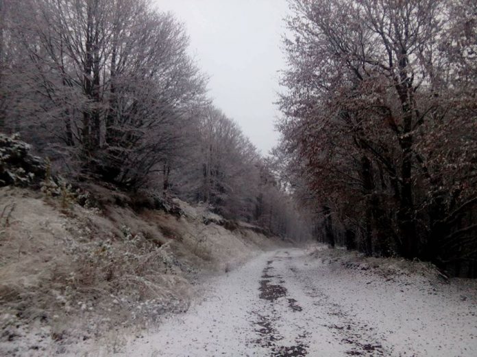 florina-prota-xionia