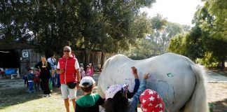 Σάλος στη Θεσσαλονίκη: Έβαλαν παιδάκια να ζωγραφίσουν πάνω σε άλογα