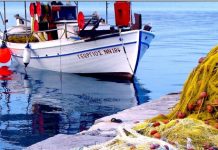 Νέα απώλεια εισοδήματος για τους αλιείς της Μαγνησίας!