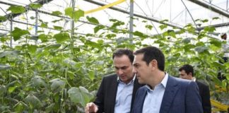 Τσίπρας από Ξάνθη: ‘Όχι’ στην παρασιτική και αρπακτική συμπεριφορά επιχειρηματιών