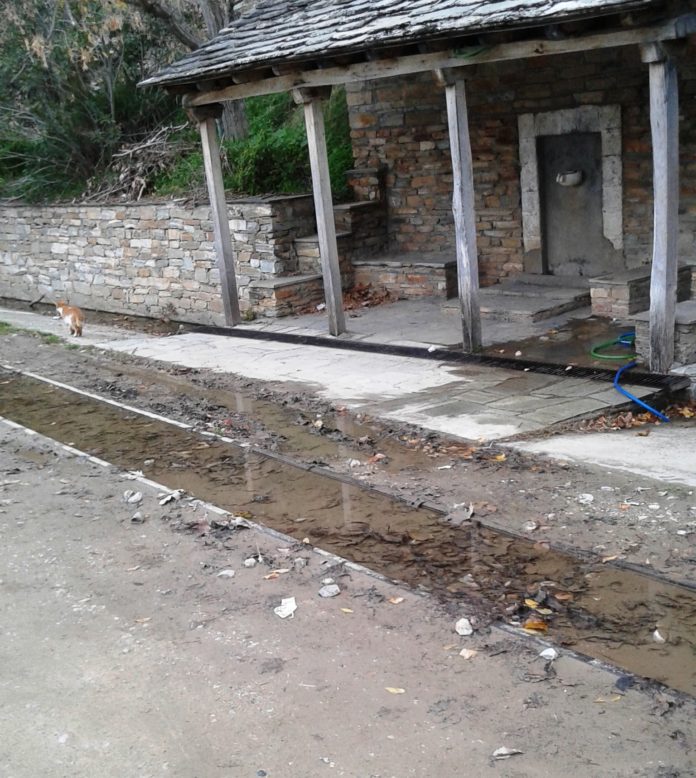 ΑΓΩΓΟΣ ΣΤΑΘΜΟΣ Α. ΓΑΤΖΕΑΣ