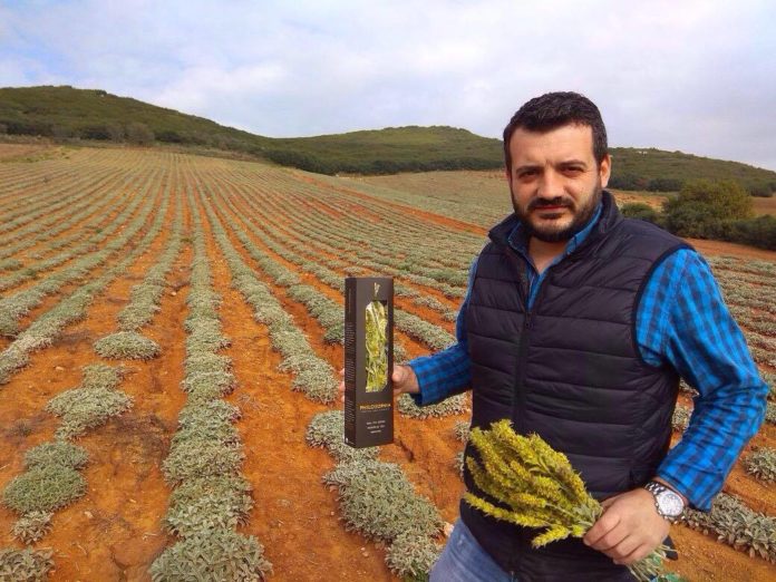 ΧΡΟΝΗΣ ΧΡΗΣΤΟΣ