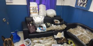 Στη «φάκα» δύο άτομα με 49 κιλά κάνναβης