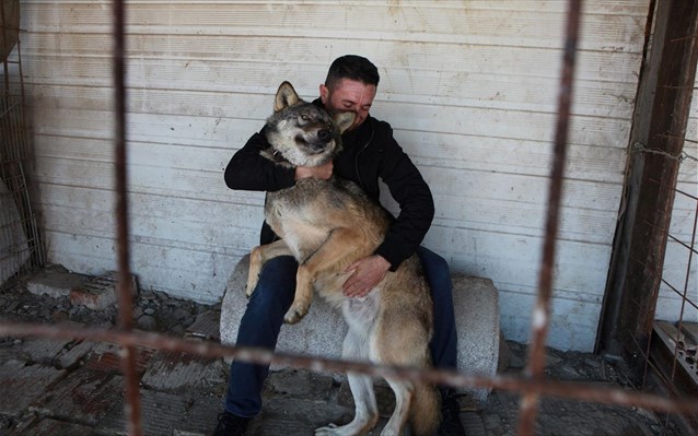 kosobo-onomase-ton-luko-tou-tramp