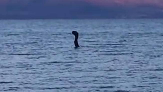loch-ness-prespa