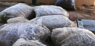 Η θάλασσα ξέβρασε 28 κιλά χασίς