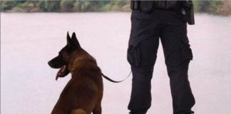 Τον αστυνομικό σκύλο Satan αποχαιρέτισε η ΕΛ.ΑΣ.