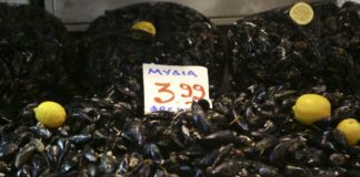 Κατασχέθηκαν 71 κιλά ληγμένος σολομός και μύδια
