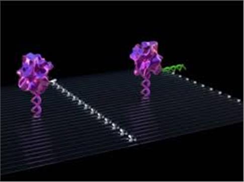 nanorompot