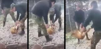 Ταυτοποιήθηκαν οι φαντάροι που κακοποίησαν τον σκύλο στην Κόνιτσα