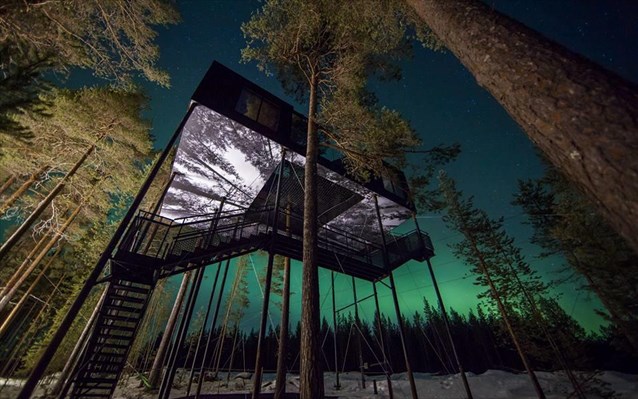dentrospito-souidia-treehotel